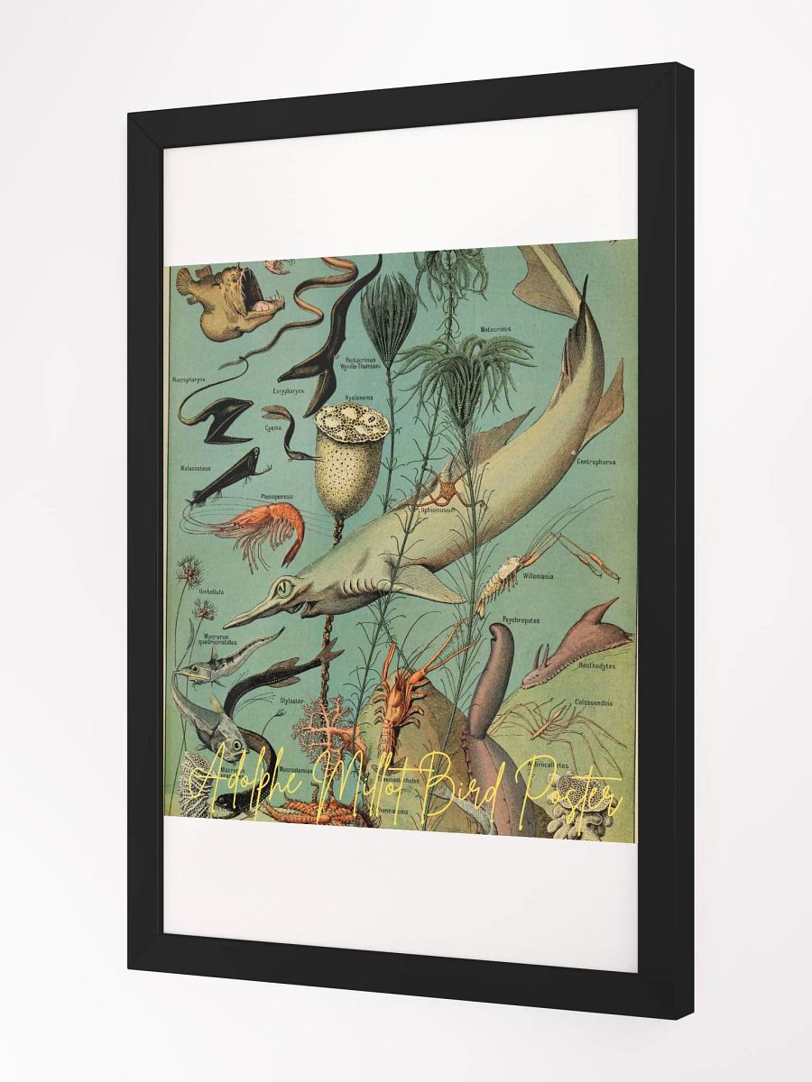 Art by Adolphe Millot Framed High-Quality Matte Poster (in) product image (2)