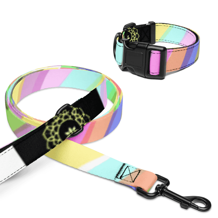 Vibrant Stripes Pet Collar & Leash Set product image (10)