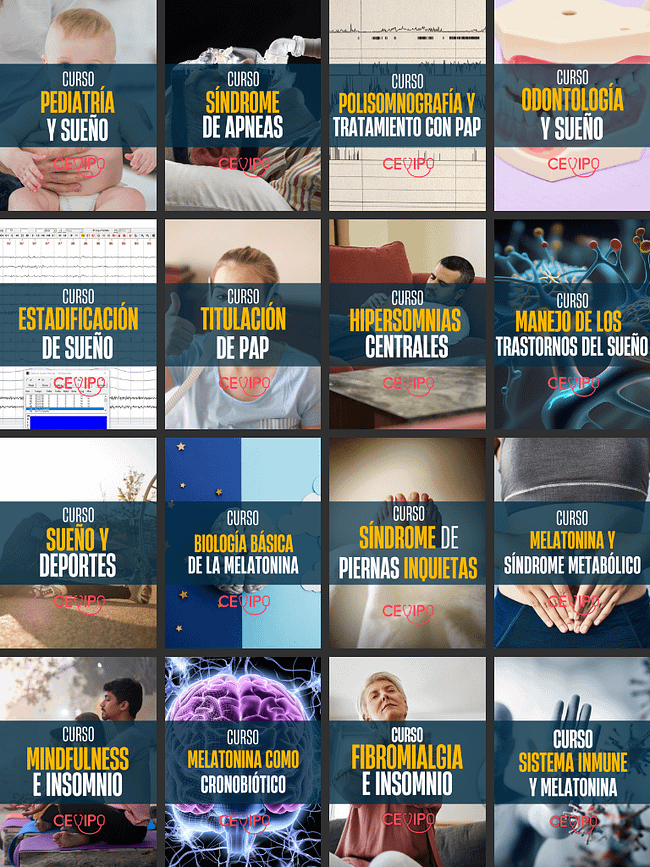 Cursos Virtuales