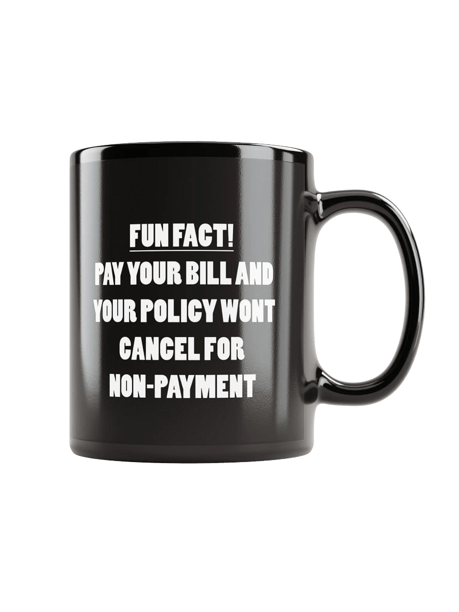 Fun Fact! product image (2)