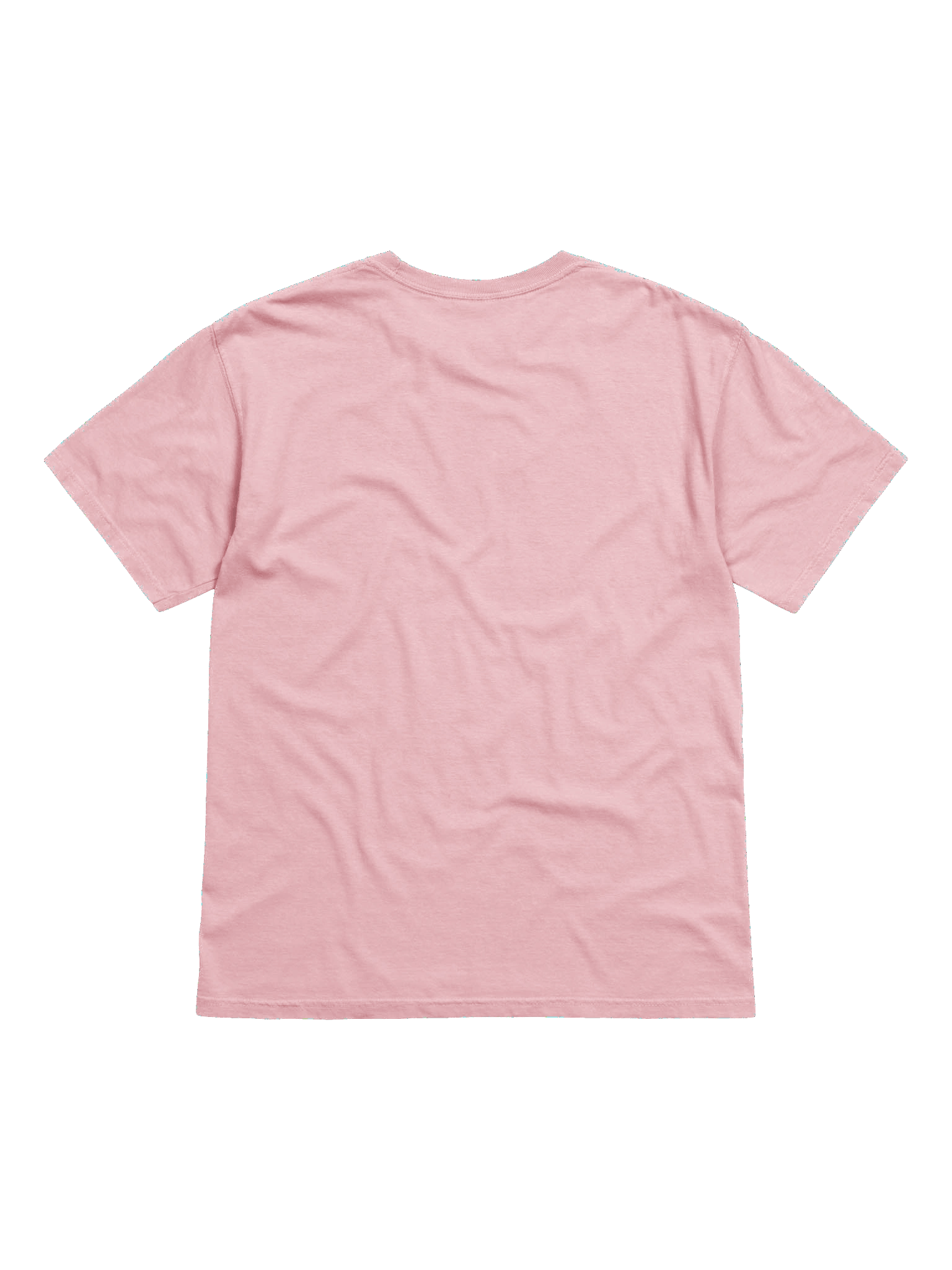 Pastel Garden Snail T-Shirt product image (8)