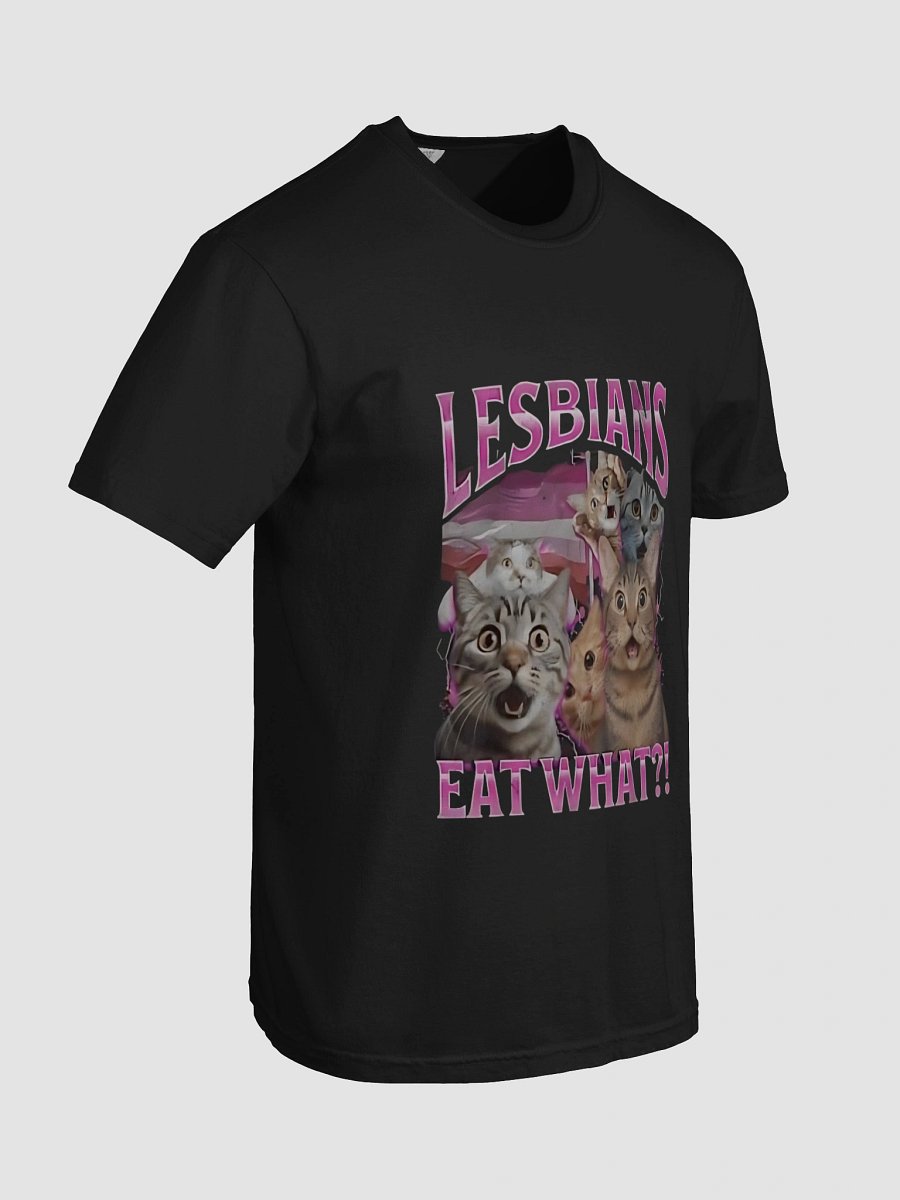 Surprised Cats Lesbians Eat What T-shirt product image (7)