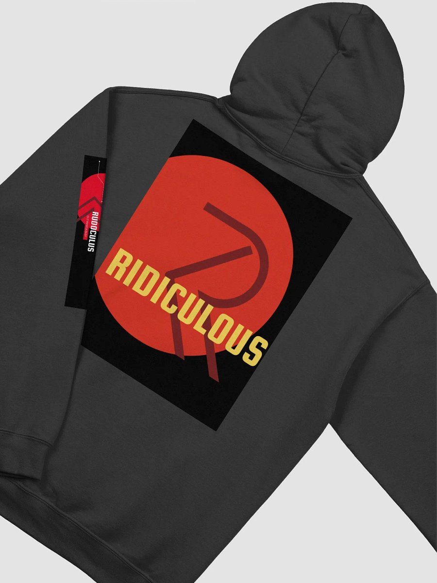 RUDO HOODIE (GREY) product image (4)
