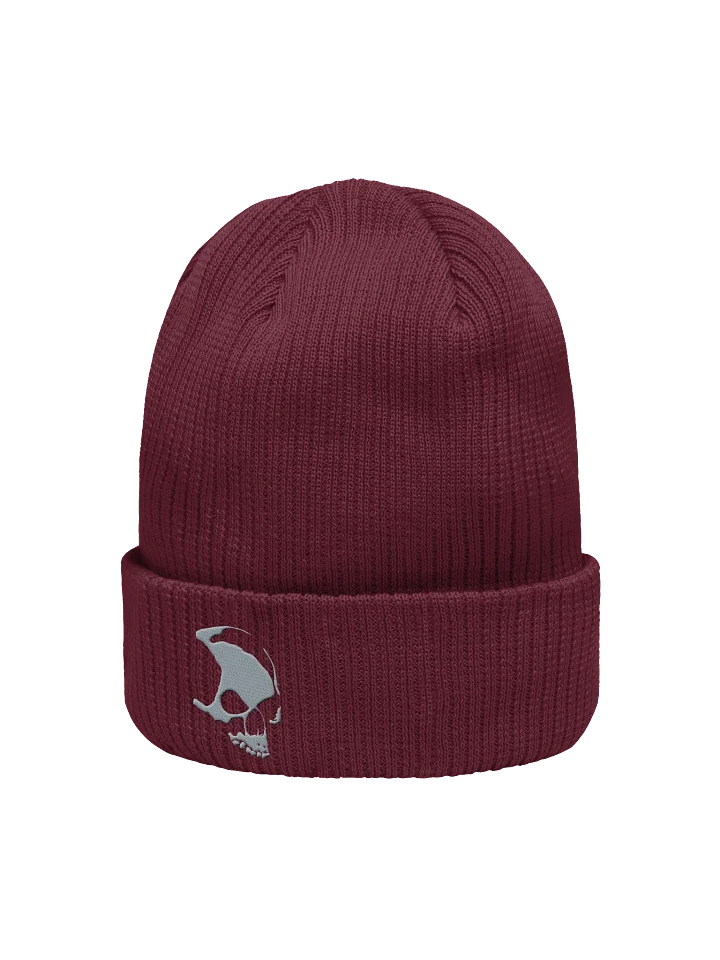 Armada Skull Organic Ribbed Beanie product image (4)