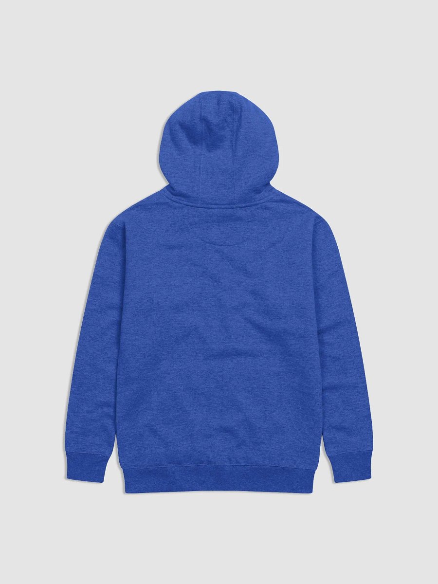Bald Eagle Hoodie product image (3)