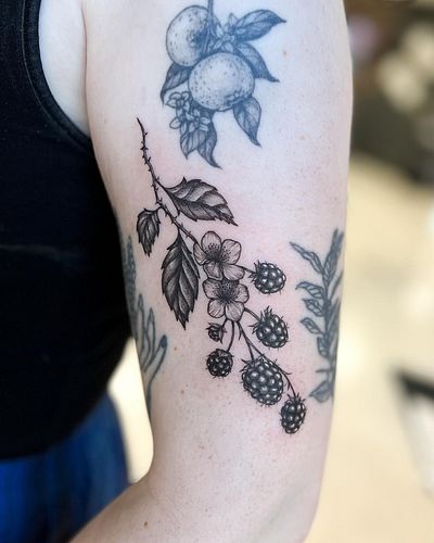 may the berries never end 🙏 so keep ‘em comin’! i love drawing these lil twigs, and they flow with the body just right 👌🌿

se...