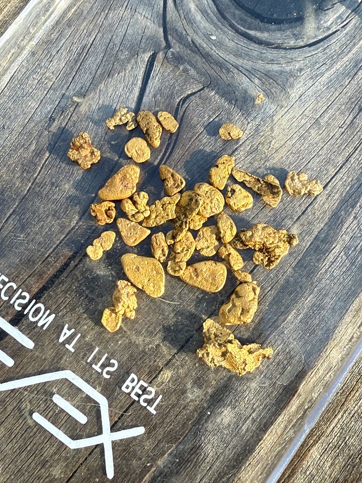 8 Grams of California Placer Gold product image (1)