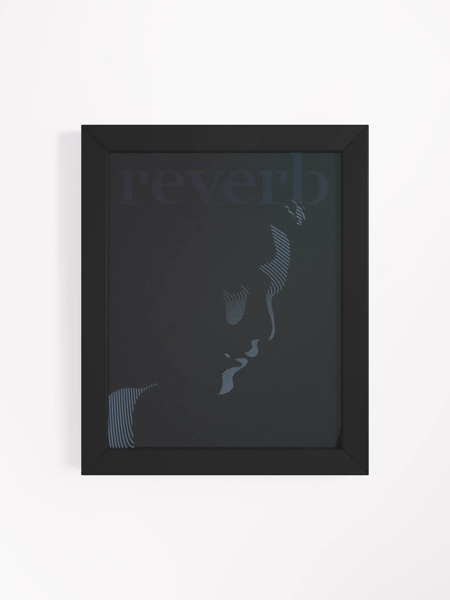 reverb product image (2)