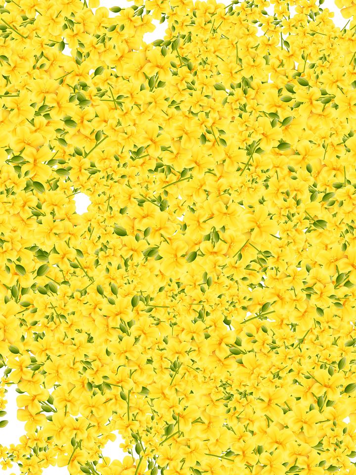 floral_72 product image (1)