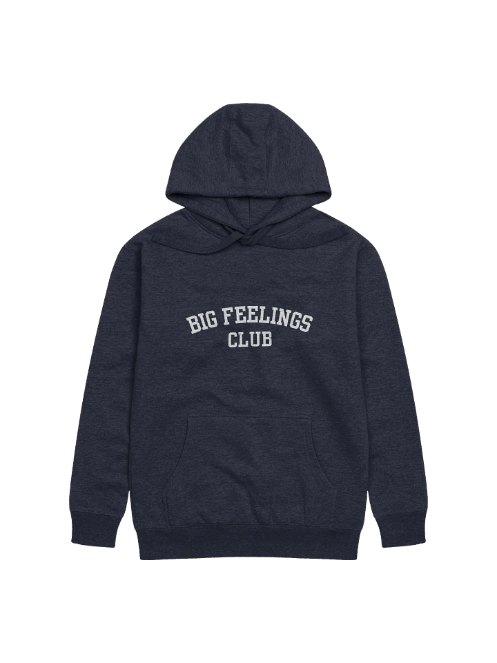 Big Feelings Club Unisex Hoodie product image (1)