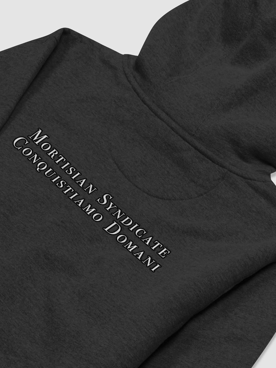 Sol Institute Hoodie product image (4)