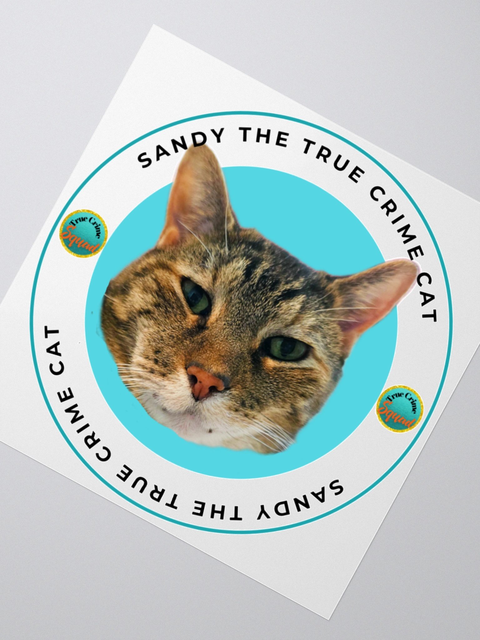 Sandy the True Crime Cat product image (7)