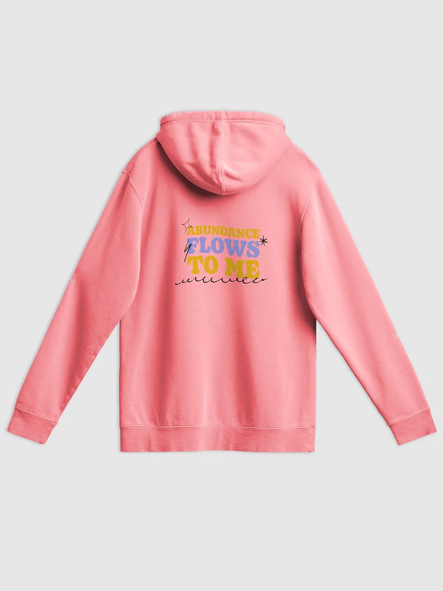 WYS Abundance Flows Vintage Hoodie product image (5)