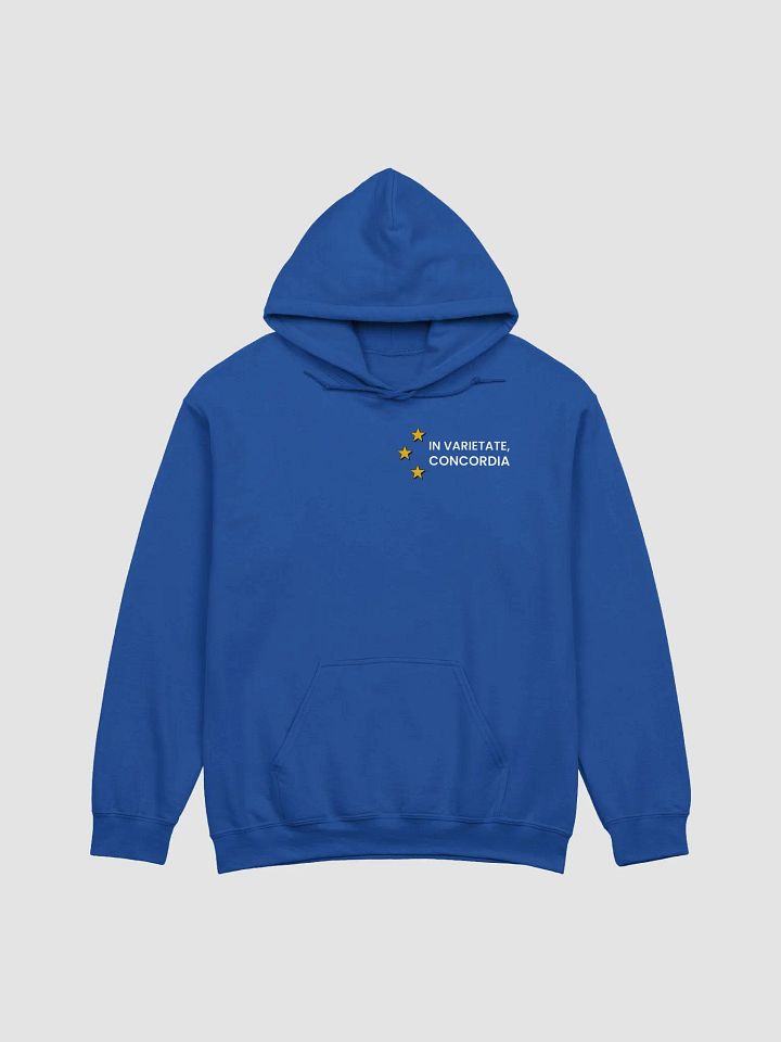 Hoodie - In Varietate, Concordia - Blue & Variants product image (2)