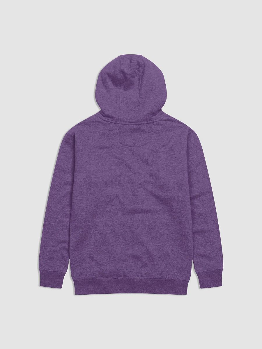 CS Hoodie product image (3)