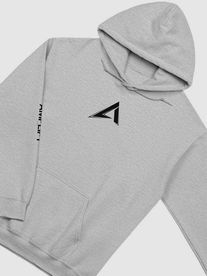 Amp Classics Hoodie (Gray) product image (2)