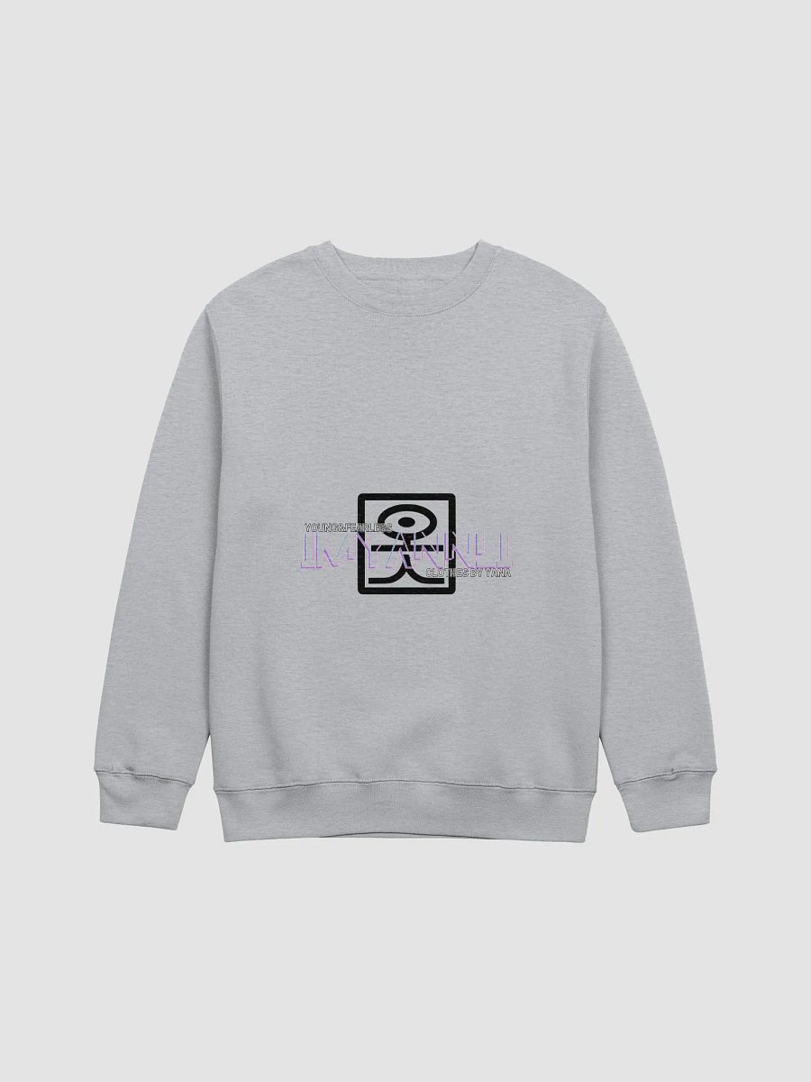 Sweatshirt B (multi color) product image (3)