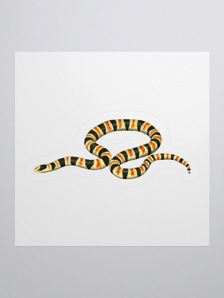 Die-Cut Sticker – Resplendent Shovelnosed Snake product image (1)