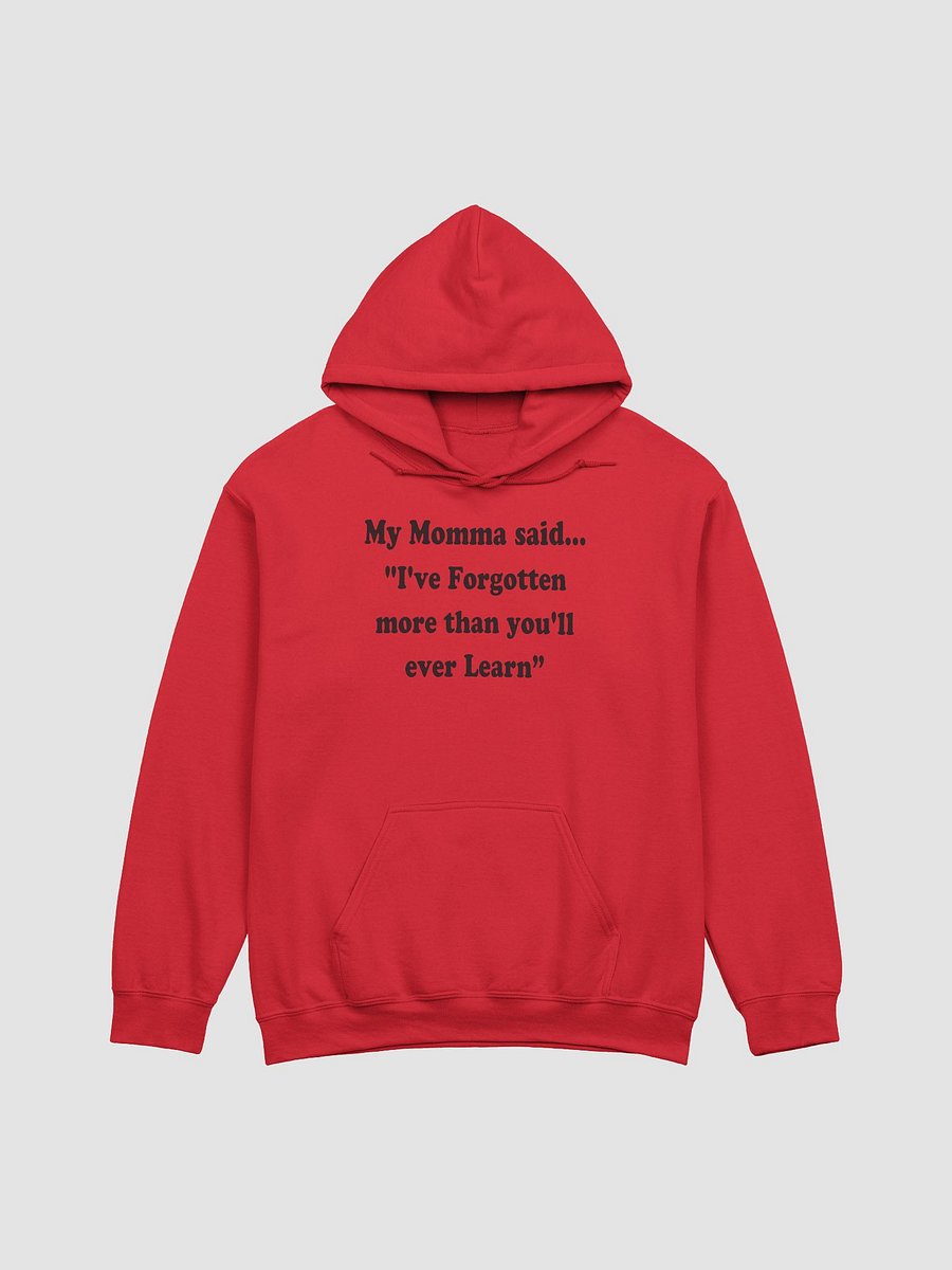 I’ve Forgotten More Than You’ll Ever Learn hoodie product image (1)