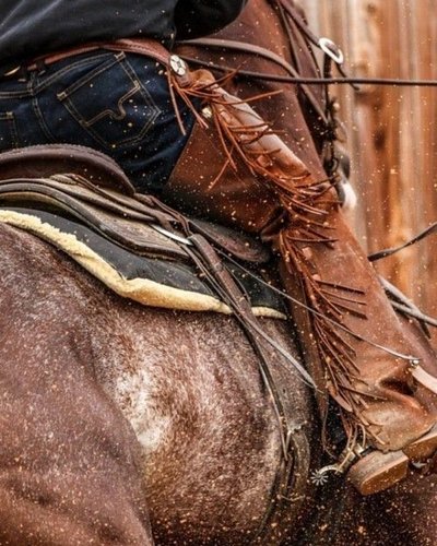 Saddle up, cowboy 🐎🤠