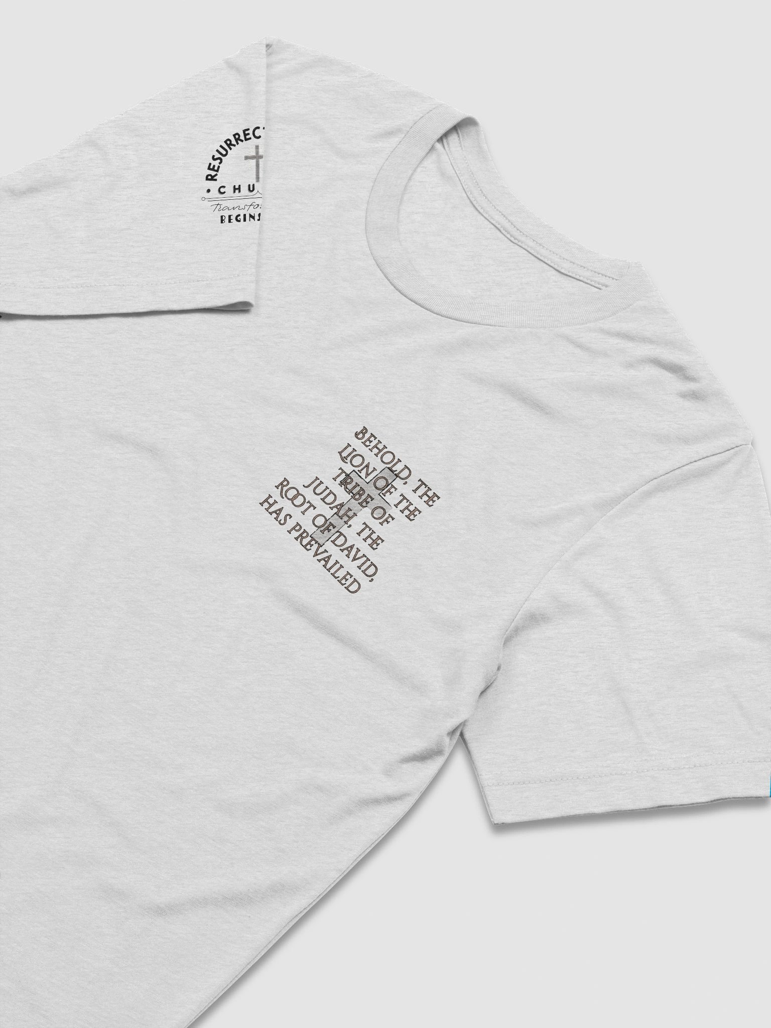 Lion of Judah Unisex Tee product image (45)