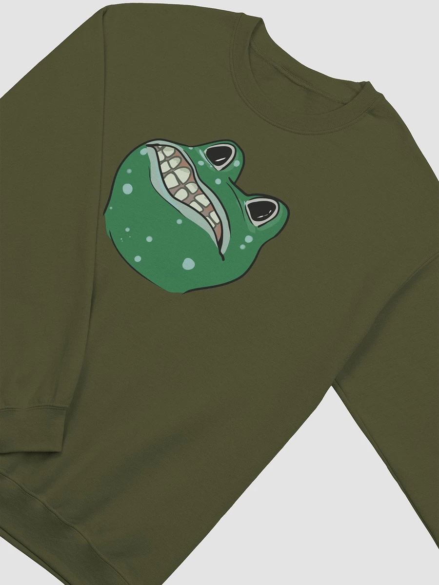 Shitterfrog classic sweatshirt product image (32)