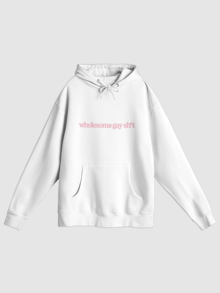 Wholesome Gay Hoodie product image (1)