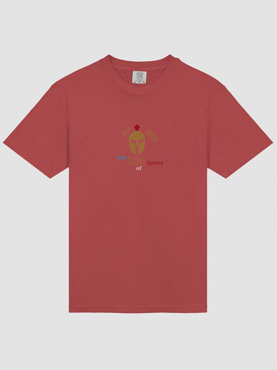 Spartan Spirit Heavyweight Tee product image (3)