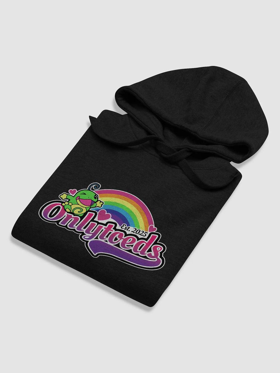 ONLYTOEDS HOODIE product image (81)
