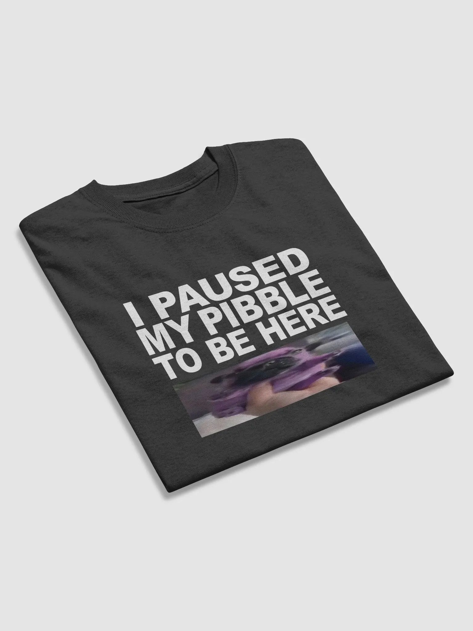 I PAUSED MY PIBBLE TO BE HERE product image (3)