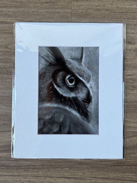 great horned owl charcoal print - 5x7" product image (1)