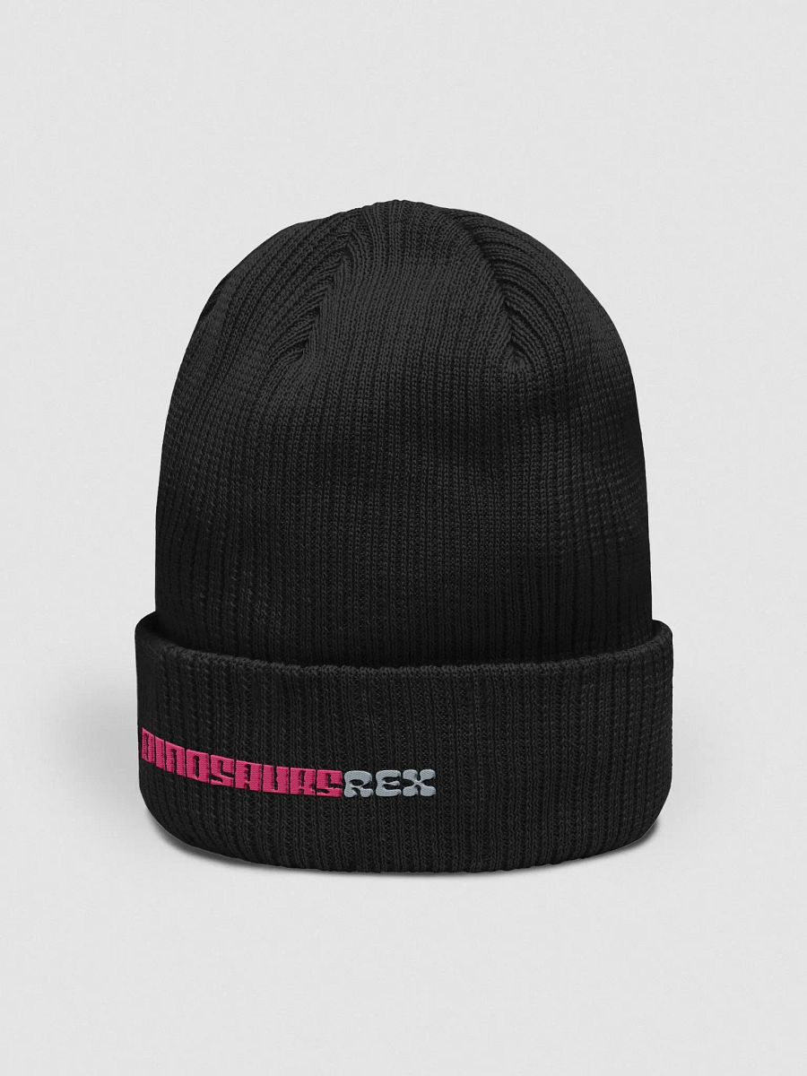 Beanie product image (2)