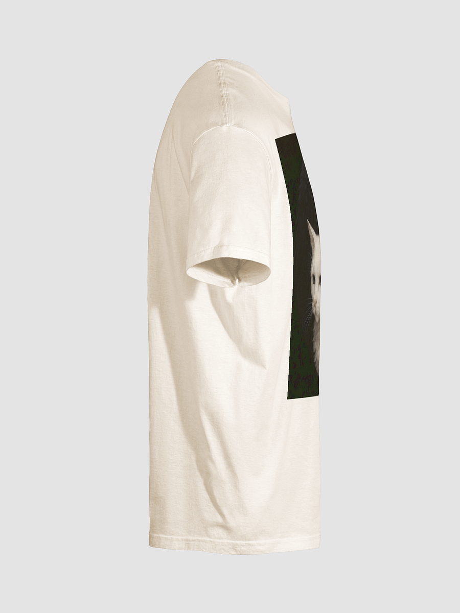 The Truth product image (28)