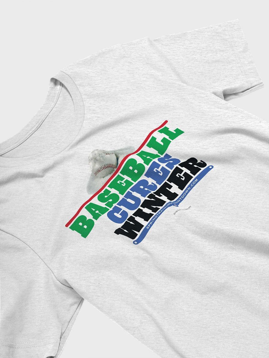 Baseball Cures Winter Tee product image (9)