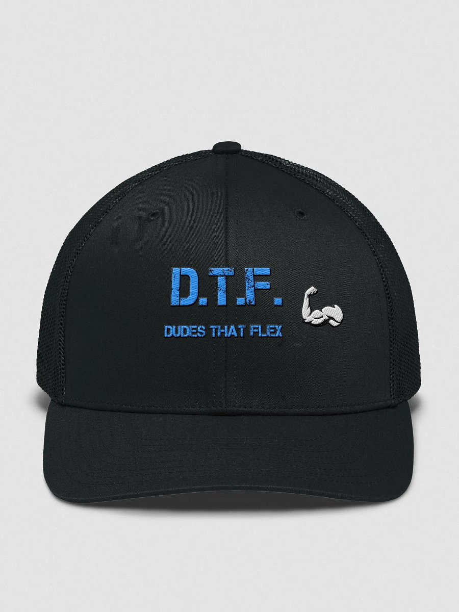Dudes That Flex Hat product image (6)
