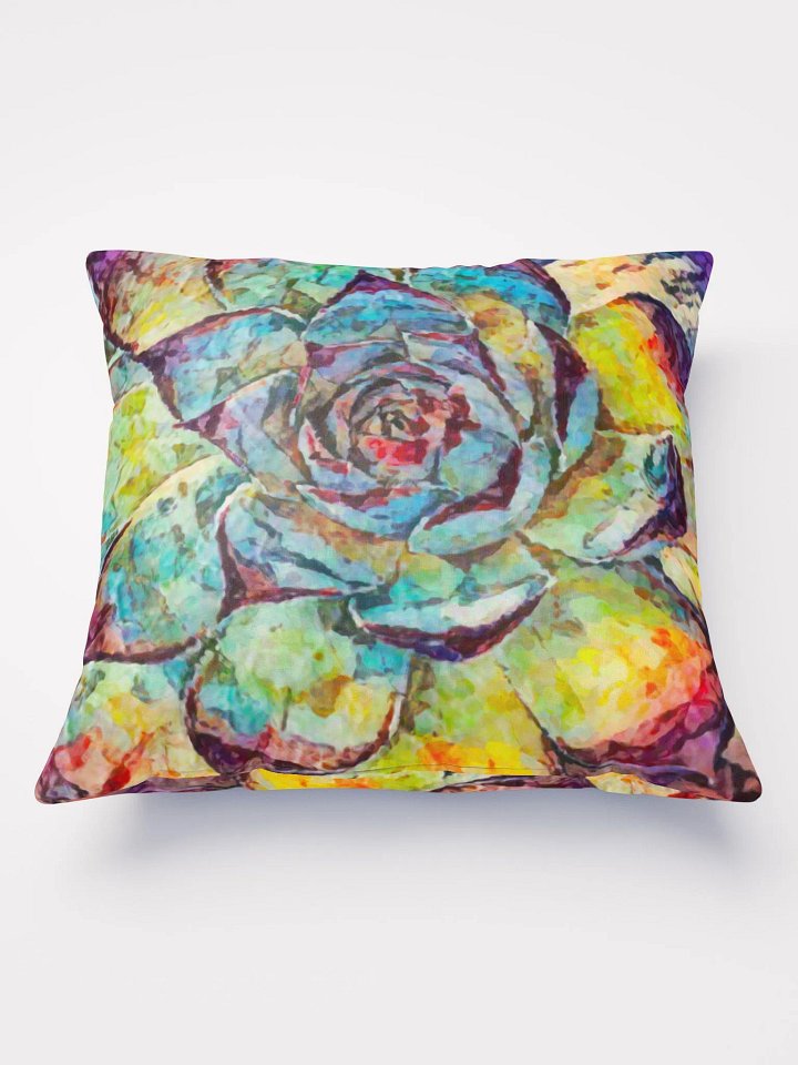 Abstract Graphic | Pillow 22