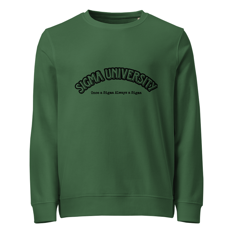 Sigma University Sweatshirt (Black Text) product image (4)