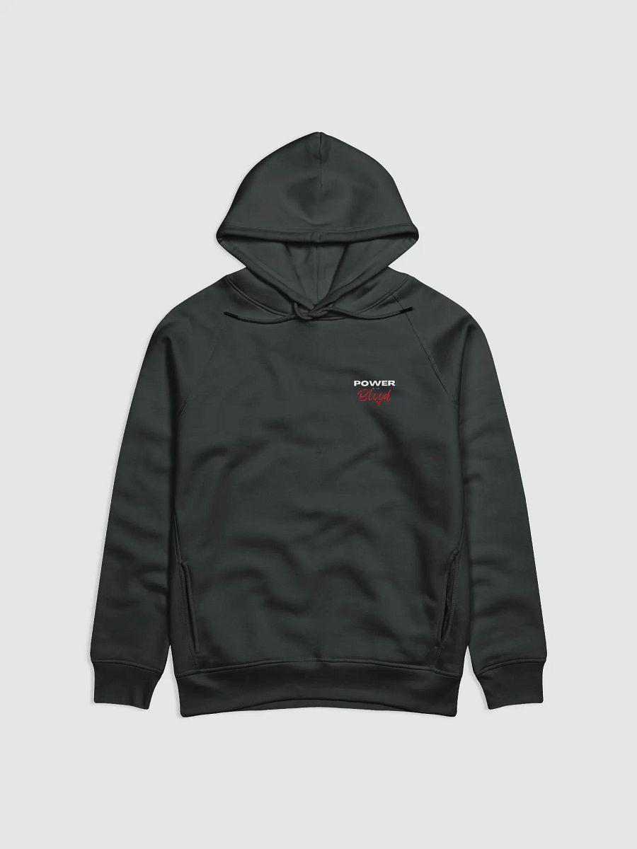 Power In the Blood | Organic Cotton | Hoodie Male product image (2)