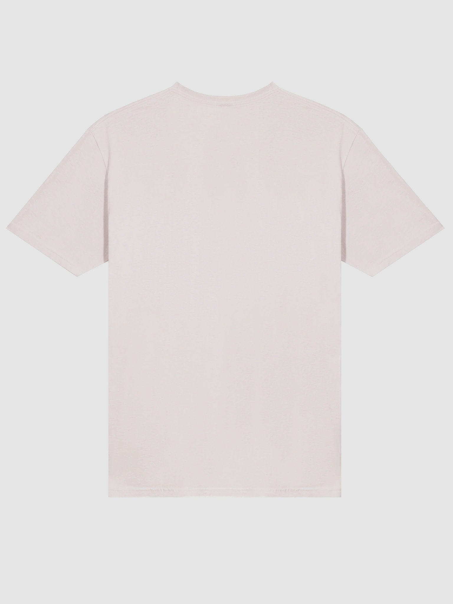 Fruity Vegan Vibes T-Shirt product image (4)