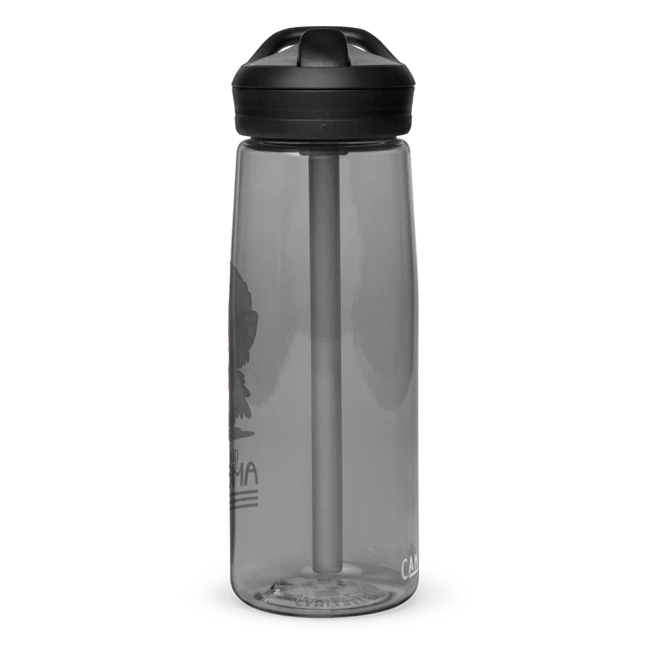 EcoStride CamelBak Eddy®+ Sports Water Bottle product image (2)