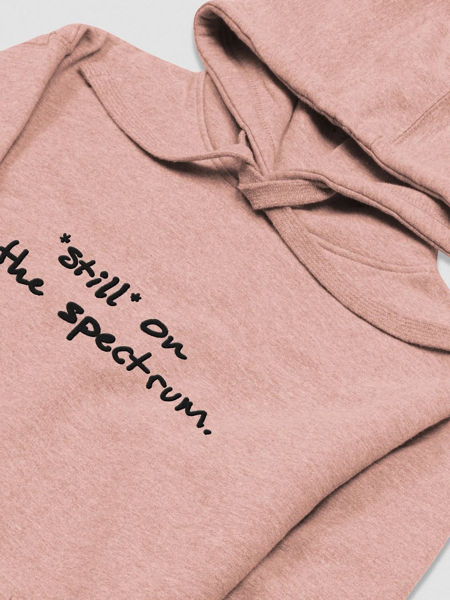 *still* on the spectrum embroidered heavyweight hoodie product image (3)