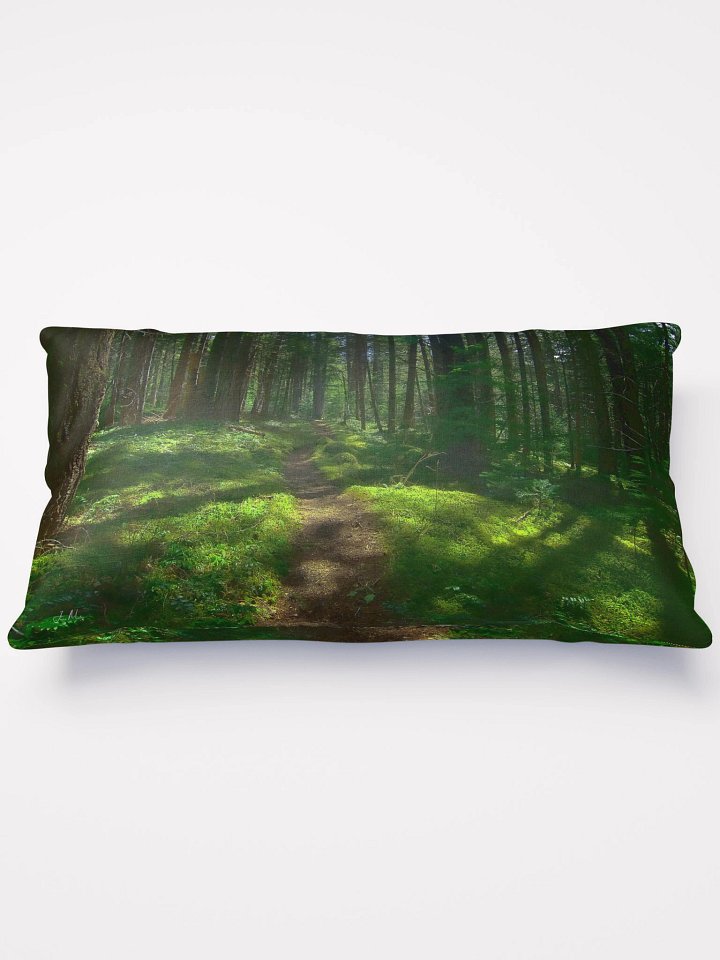 Lower Dungeness Trail Timber sun lighting Pillow product image (1)