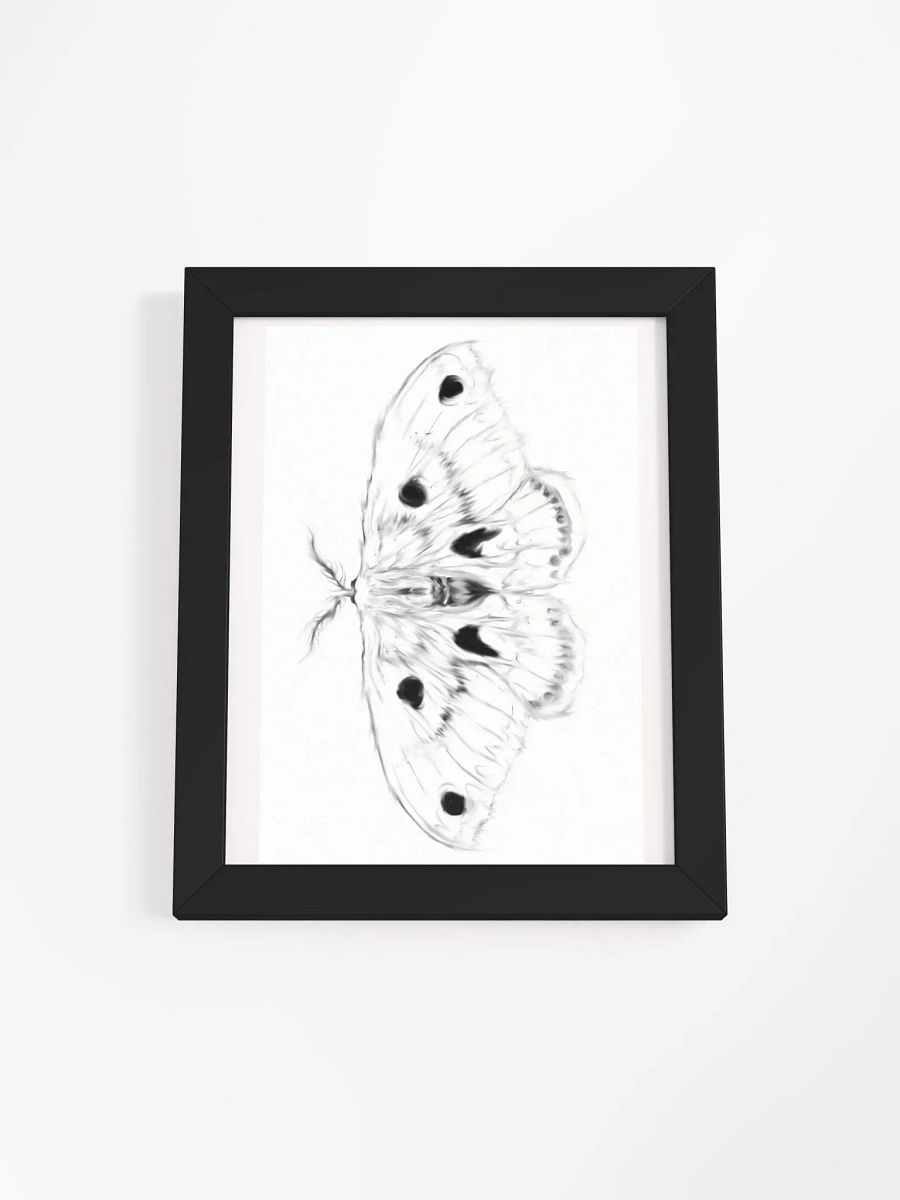 Cecropia Moth Print product image (3)