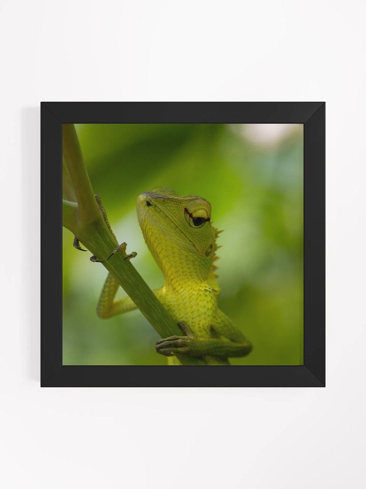 Garden Lizard in Focus product image (6)