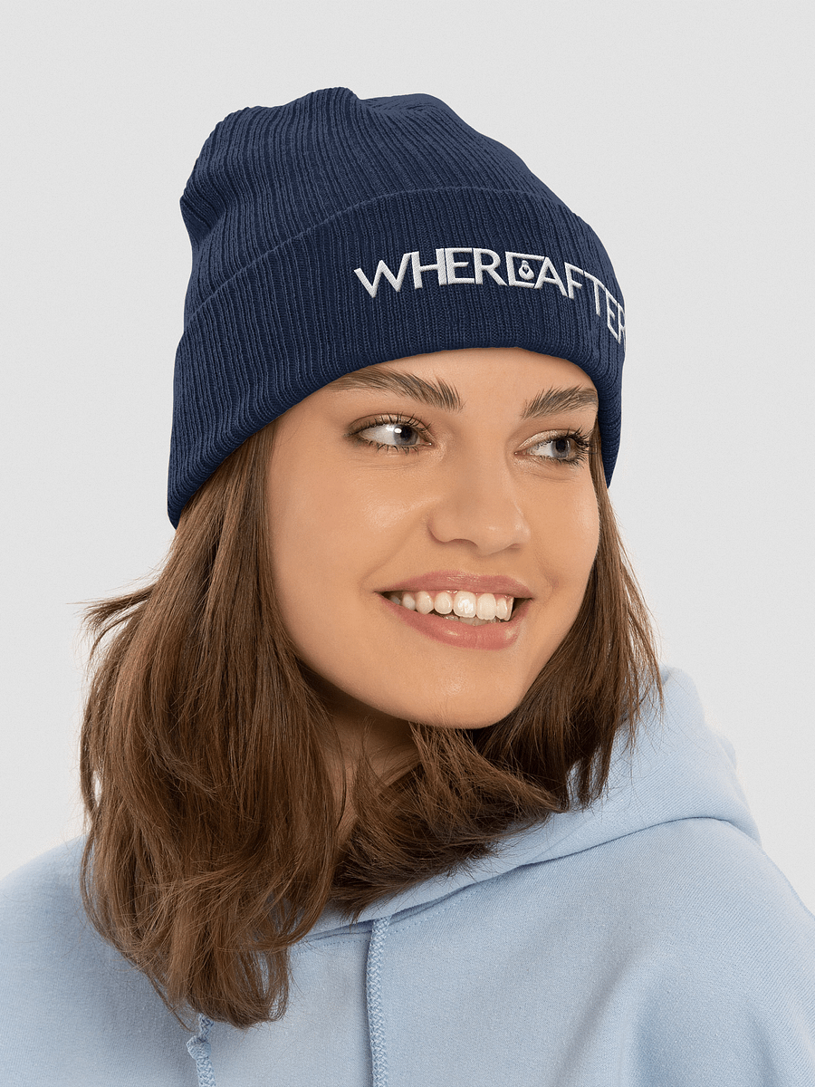 Logo Beanie product image (26)