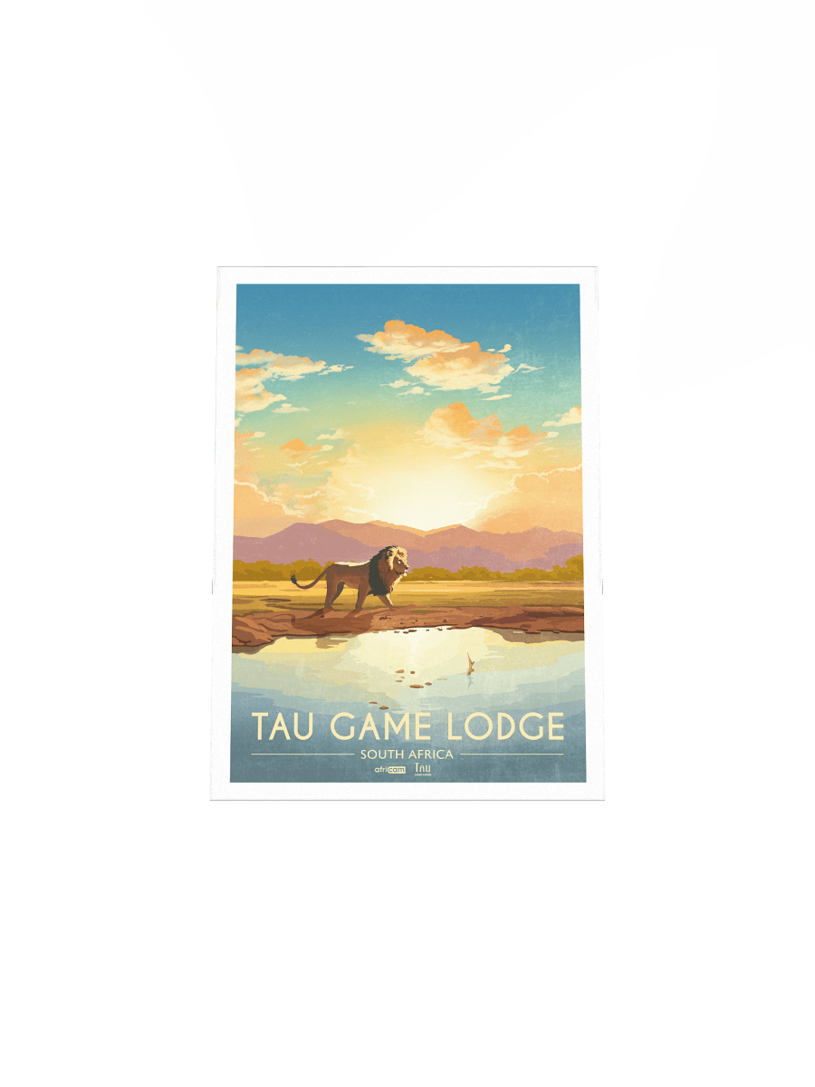 Tau (Lion) Poster product image (12)