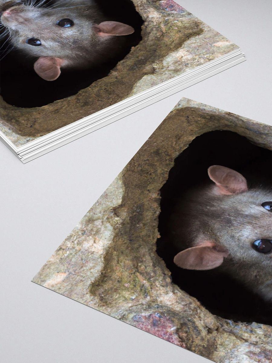brown rat in hole sticker product image (10)