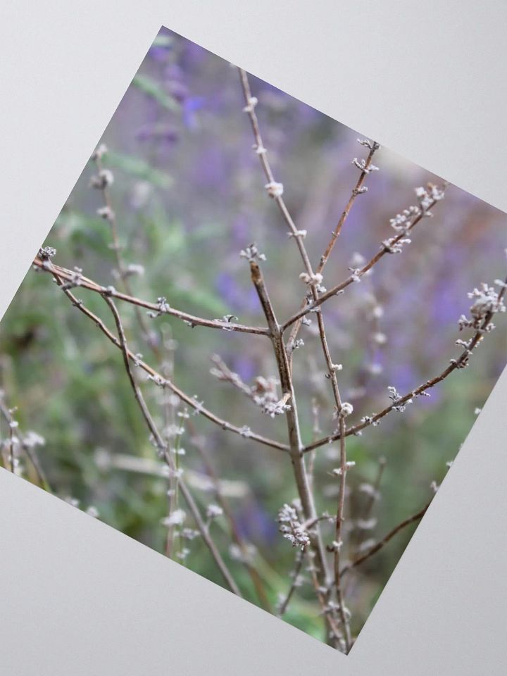 A Study in Flowers 15 - sticker version product image (6)