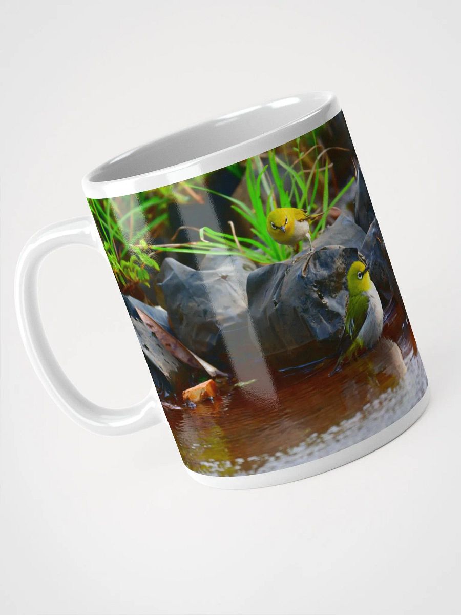 IUCAA Birds MUG product image (3)