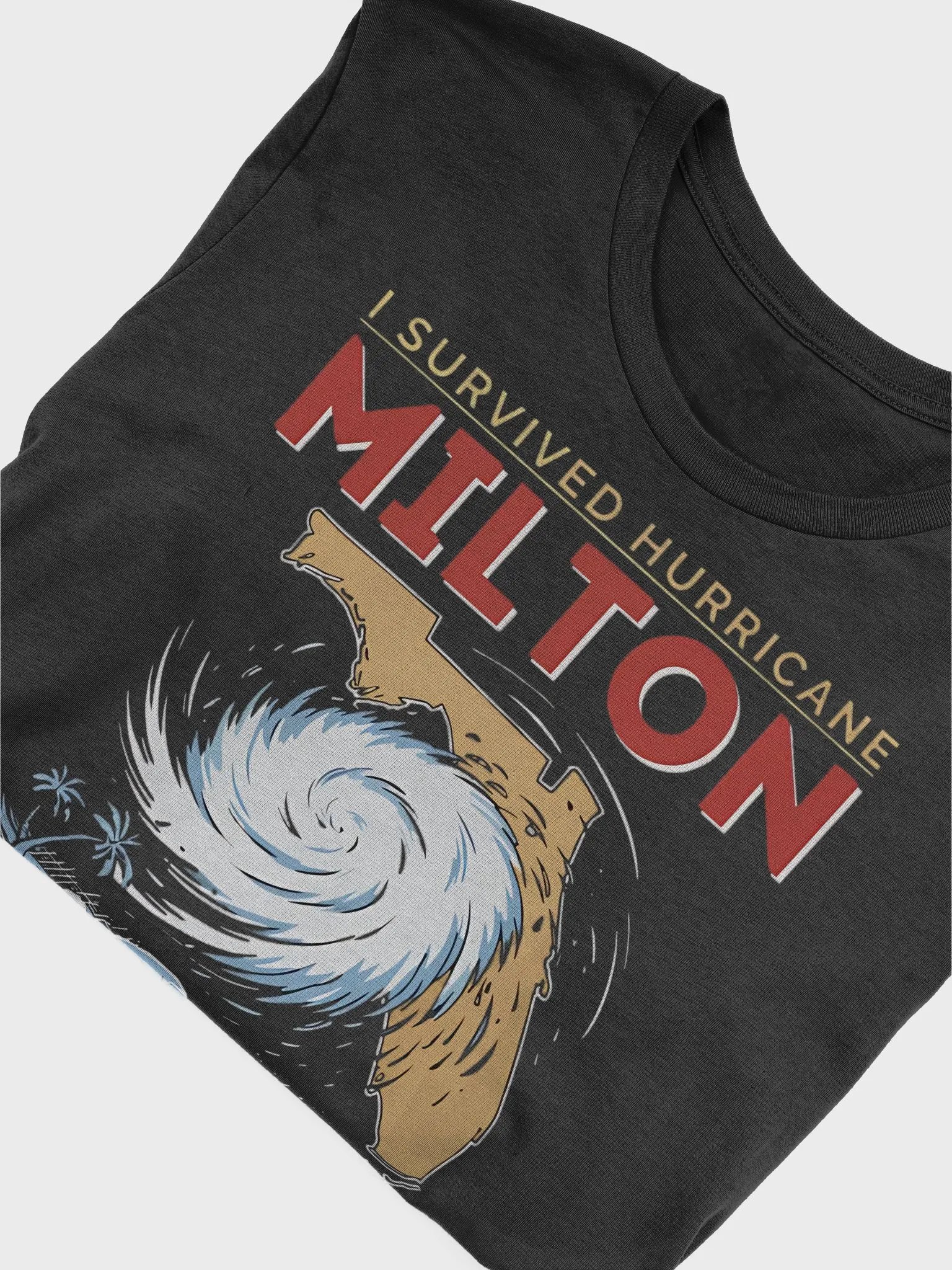 I Survived Hurricane Milton Shirt product image (10)